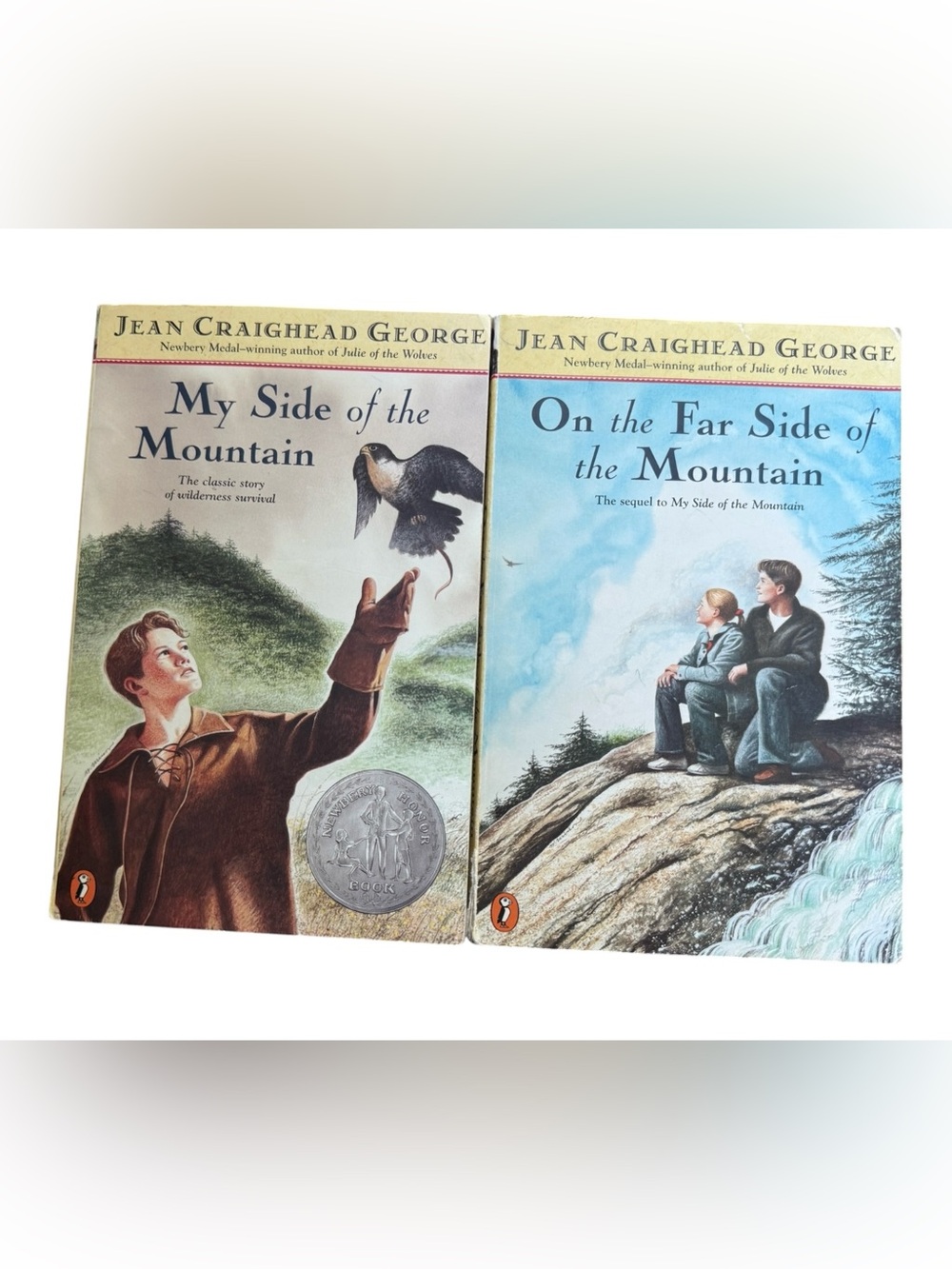 Newberry Award Classic Children’s Literature- My Side of the Mountain Books 1 &2